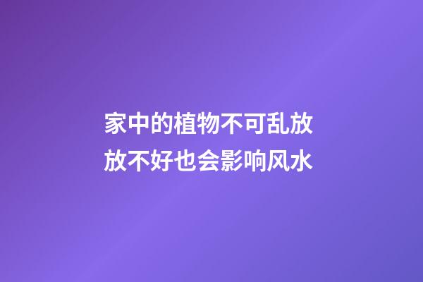 家中的植物不可乱放 放不好也会影响风水